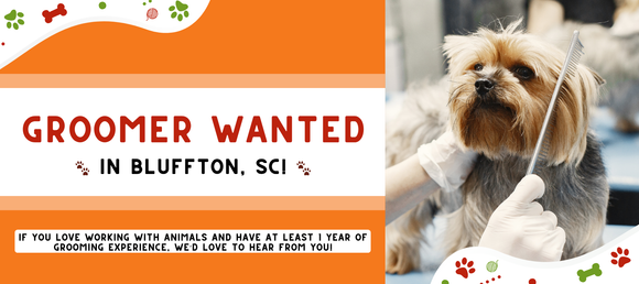Job advertisement for a pet groomer in Bluffton, SC. The banner features a small dog being groomed with a comb and text that reads 'Groomer Wanted in Bluffton, SC!' along with a message stating that applicants should have at least 1 year of grooming experience and a love for working with animals. The design includes paw prints, bones, and playful icons in red, green, and orange tones.